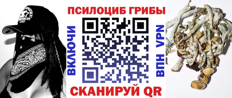Галлюциногенные грибы Psilocybine cubensis  Вяземский 