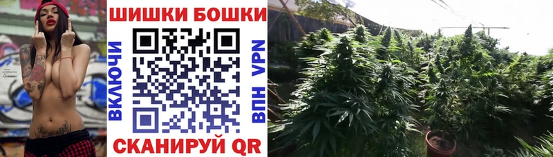 Бошки Шишки SATIVA & INDICA  Вяземский 